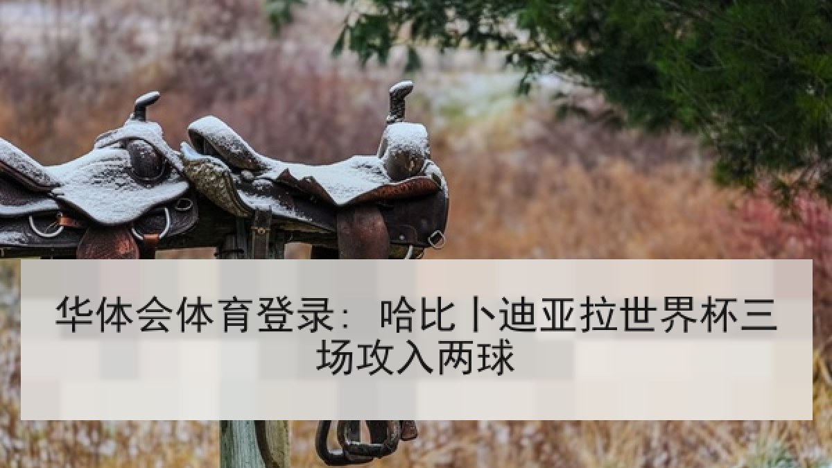 华体会体育登录: 哈比卜迪亚拉世界杯三场攻入两球