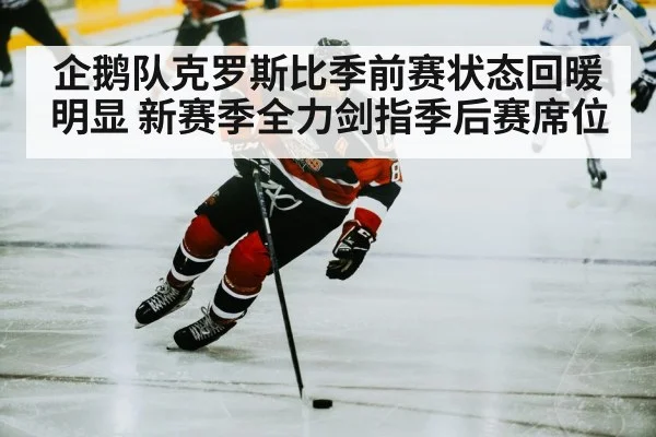 企鹅队克罗斯比季前赛状态回暖明显 新赛季全力剑指季后赛席位