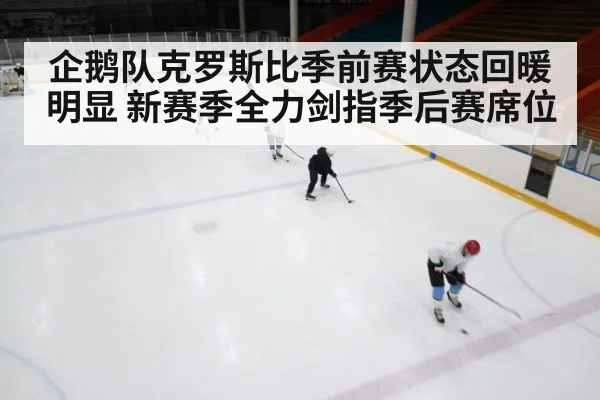 ice hockey game